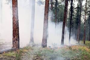 The Cub Creek 2 Fire is burning along the Chewuch River drainage. (U.S. Forest Service)
