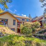 Madroneagle (Wally Gudgell/Windermere)