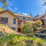 Madroneagle (Wally Gudgell/Windermere)