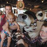 A young cattleman shares his love at the Whidbey Island Fair. (Photo by David Welton)
