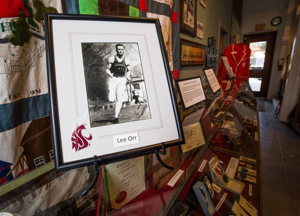 Lee Orrs memorabilia  from his days at Monroe High School to his 1936 race in the Olympics with Jesse Owens  on display at the Monroe Historical Society. (Andy Bronson / The Herald)