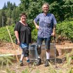 Arleen Gibson and Mike Dailey stand in the overgrown veteran garden at Hope Horses N Healing, owned by Gibson, in Monroe. (Hannah Sheil / The Herald)