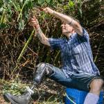 Mike Dailey cuts blackberry bush branches, expanding the garden area at the Hope Horses N Healing farm. (Hannah Sheil / The Herald)