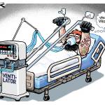 toon