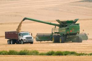 A combine transfers wheat into a grain truck, Thursday, Aug. 5, 2021, near Pullman, Wash. Across eastern Washington, a drought the National Weather Service classified as "exceptional" has devastated what is normally the fourth largest wheat crop in the nation. (AP Photo/Ted S. Warren)