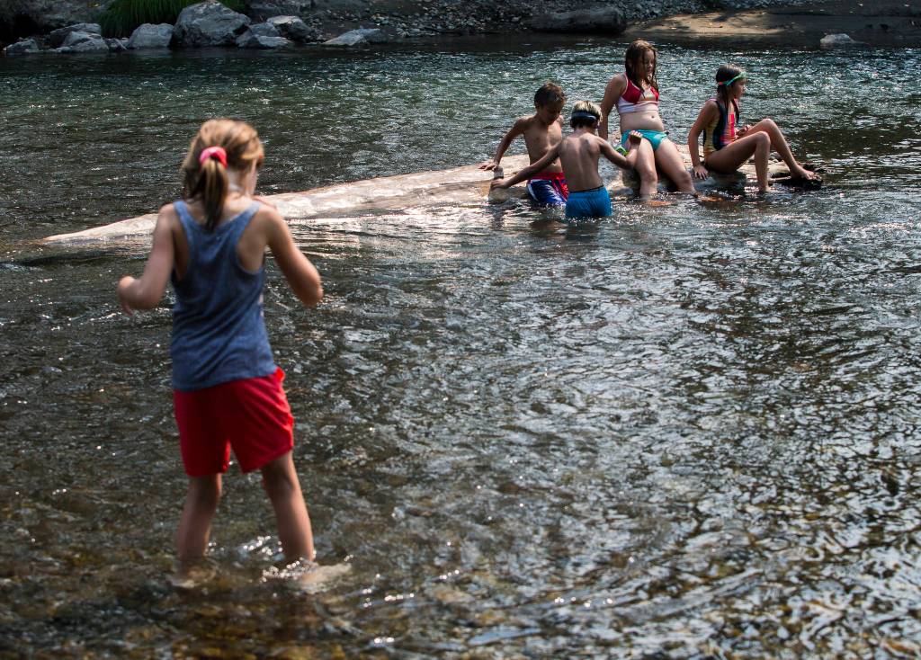 Cally Najera (left), 8, wades out to a log in the middle of the South Fork Stillaguamish River on Friday in Arlington. (Olivia Vanni / The Herald)