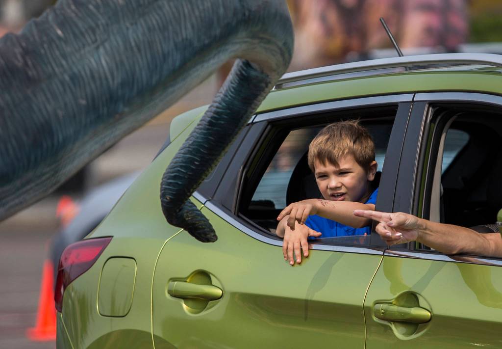 A boy reaches out to try to touch a dinosaur tail at the Jurassic Empire drive-thru in Everett. (Olivia Vanni / The Herald)
