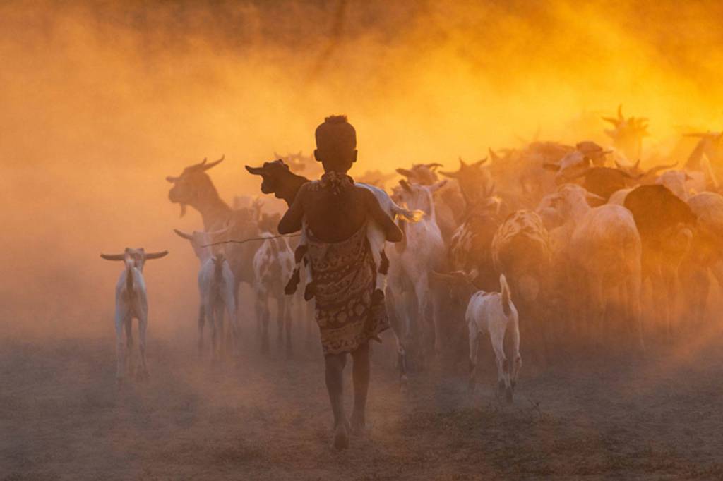 First place, Photography: Emily Wilson, Sunrise Shepherdess