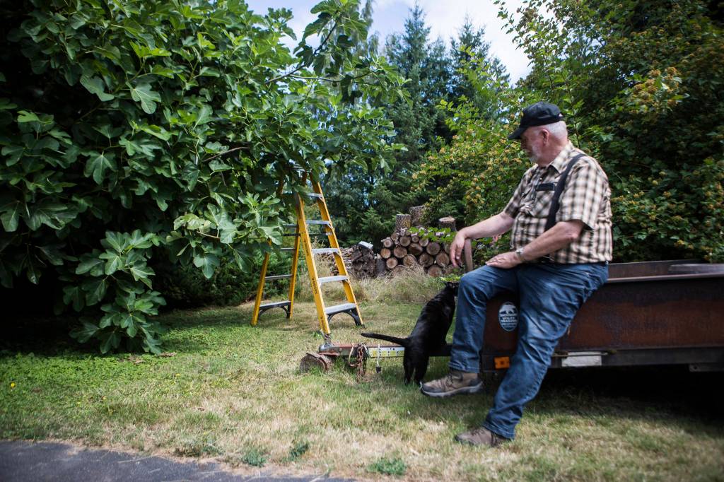Wally Harper and his cat, Spooky, sit near the fig tree at his Mukilteo home. (Olivia Vanni / The Herald)