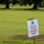 Golfers putt on a temporary green at Walter E. Hall Golf Course in Everett. (Olivia Vanni / The Herald)