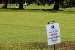 Golfers putt on a temporary green while signs to keep off the grass surround a replanted green at Walter E. Hall old Course on Thursday, Aug. 12, 2021 in Everett, Wash. (Olivia Vanni / The Herald)