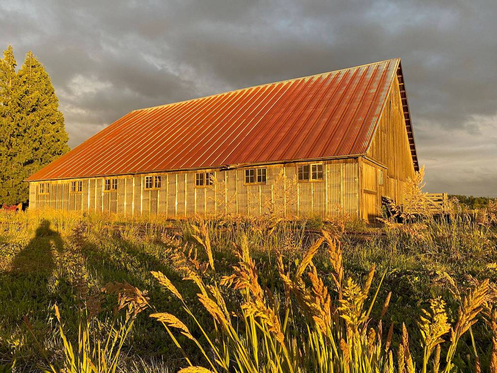Technically it was taken in May, but Maureen Frandsens pretty picture of an evening sun-drenched barn near Arlington feels like summer to us.
