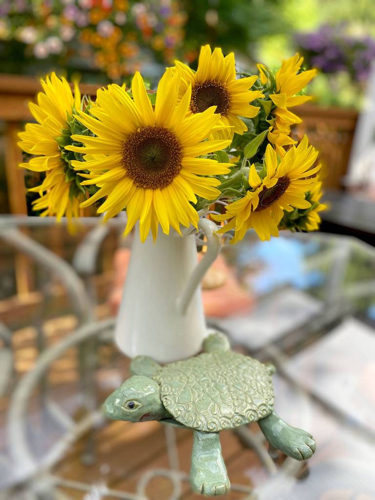 Ruth Martin of Edmonds posed sunflowers from her garden with a turtle made by an Orcas Island artist.