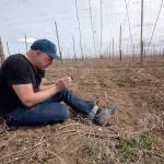 Filmmaker Daniel A. Cardenas, of Everett, in a hop field in the Yakima Valley in 2014. (Bakerbuilt Works)