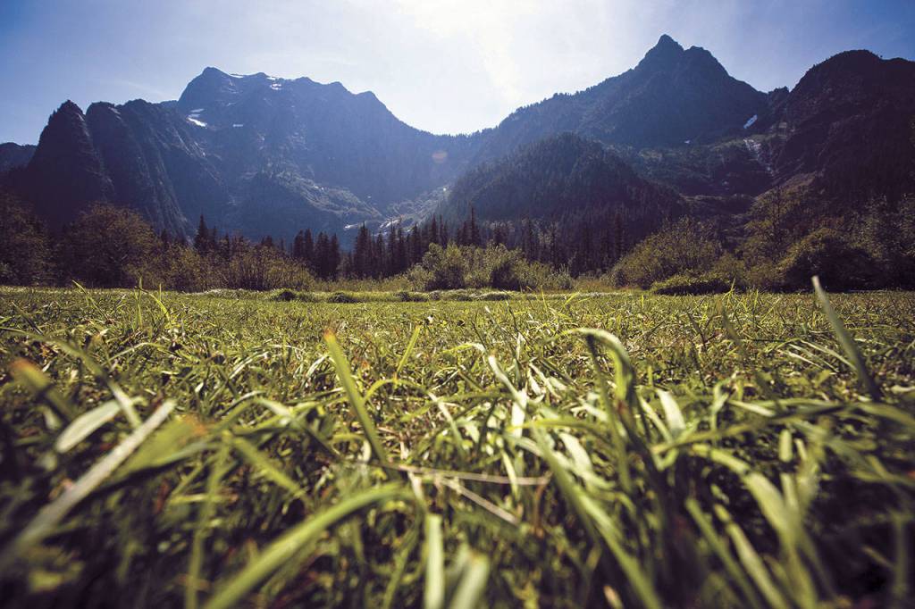 Big Four Mountain stands tall in the background on a sunny day at the Big Four Ice Caves Picnic Area off the Mountain Loop Highway. The trail was recently closed due to wildfire danger, so check conditions before you leave. (Daniella Beccaria / Herald file)