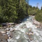 The Sauk River can be explored via the Old Sauk River loop trail about 6 miles south of Darrington. The trail was recently closed due to wildfire danger, so check conditions before you leave. (Daniella Beccaria / Herald file)