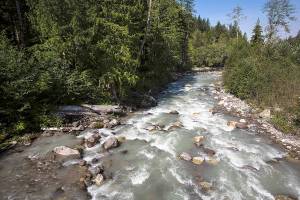 The Sauk River rushes by near a popular boat launch area close to White Chuck Mountain off the Mountain Loop Highway, just outside of Darrington. The trail was recently closed due to wildfire danger, so check conditions before you leave.(Daniella Beccaria / Herald file)