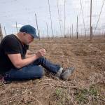 Filmmaker Daniel A. Cardenas, of Everett, in a hop field in the Yakima Valley in 2014. (Bakerbuilt Works)