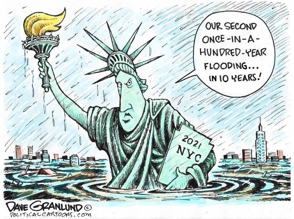 toon