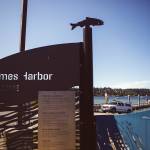 Boaters launch their vessels into Holmes Harbor at Freeland County Park. (Olivia Vanni / The Herald)