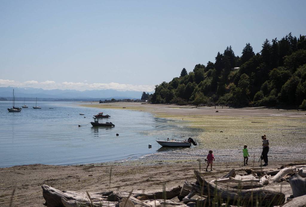 People walk on the sandy beach at low tide at Phil Simon Park in Langley. (Olivia Vanni / The Herald)