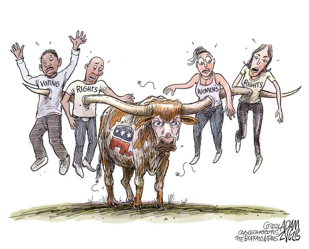 September 3, 2021: Texas longhorn