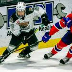 Silvertips' Matthew Ng (left) and Chiefs' Jordan Chudley vie for control the puck during the final home game Friday night at Angel of the Winds Arena in Everett on May 7, 2021.  (Kevin Clark / The Herald)