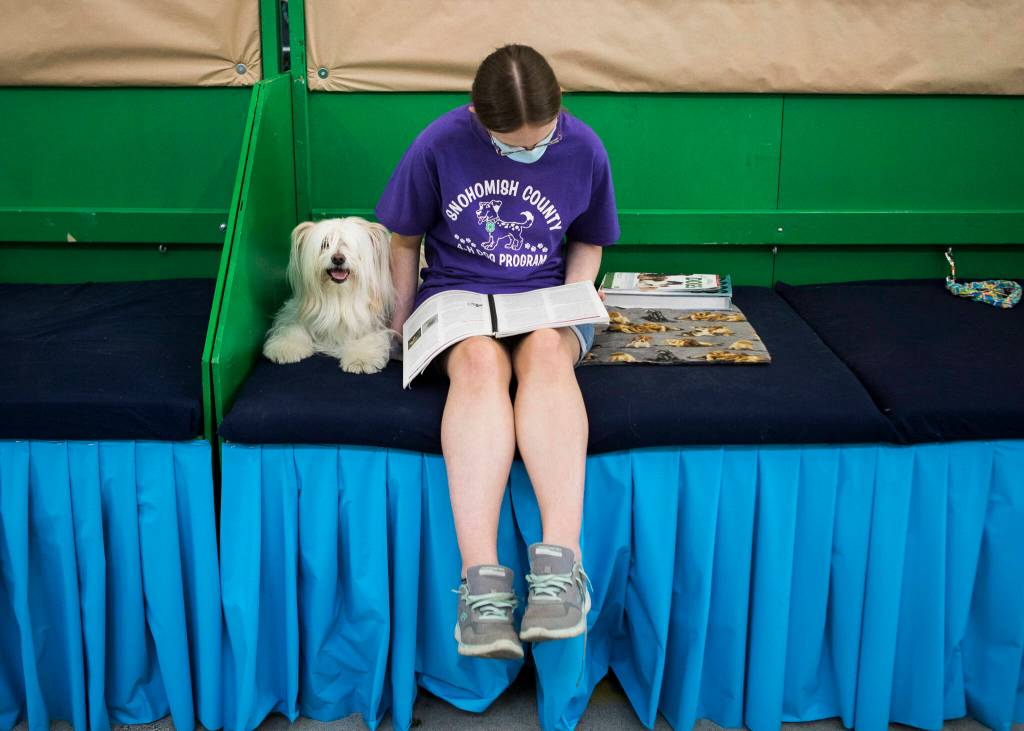 Alex Markiel sits with her dog Sabre and reads during opening day of the Evergreen State Fair on Aug. 26 in Monroe. (Olivia Vanni / Herald file)