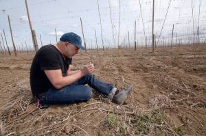 Filmmaker Daniel A. Cardenas, of Everett, in a hop field in the Yakima Valley in 2014. (Bakerbuilt Works)