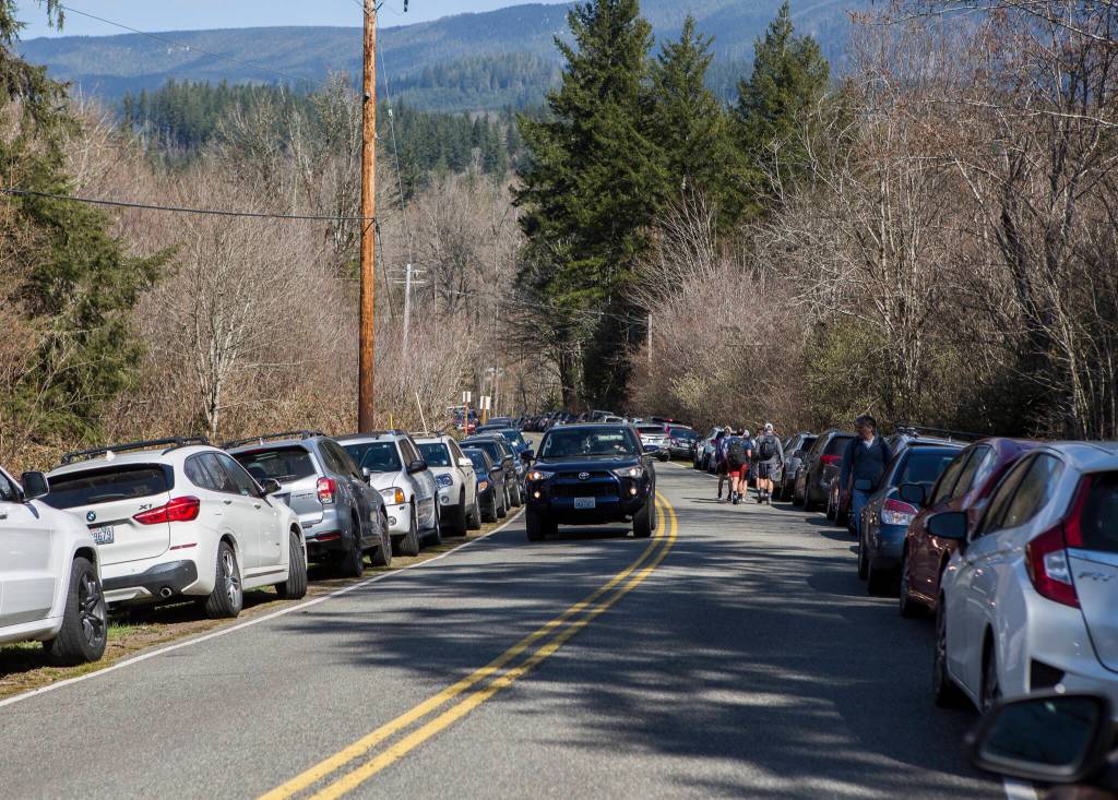 People walk along May Creek Road where hundreds of cars were parked March 21, 2020, due to a full parking lot at the Wallace Falls State Park trailhead near Gold Bar. (Olivia Vanni / The Herald)