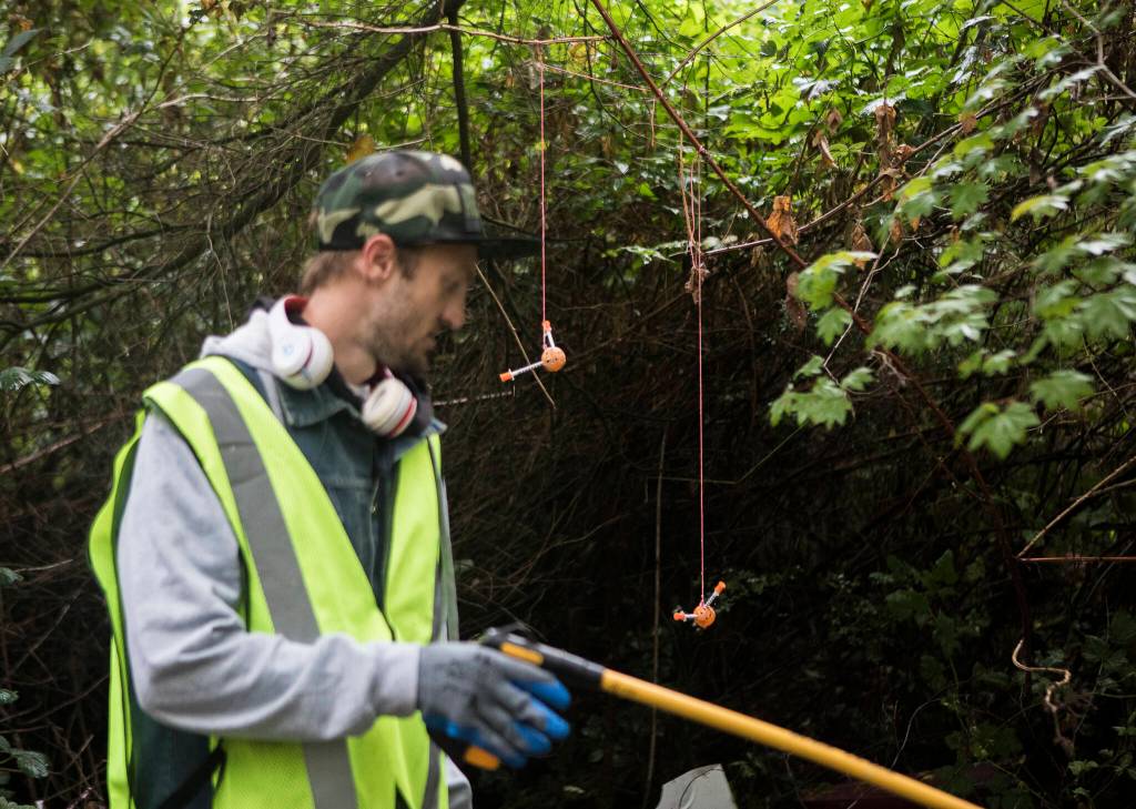 Needles hang from miniature wiffle balls Sunday at an encampment in a wooded area near Everett. (Olivia Vanni / The Herald)