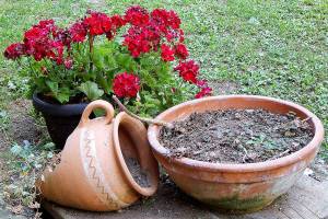 Garden decorations. Old pots with flowers in the garden