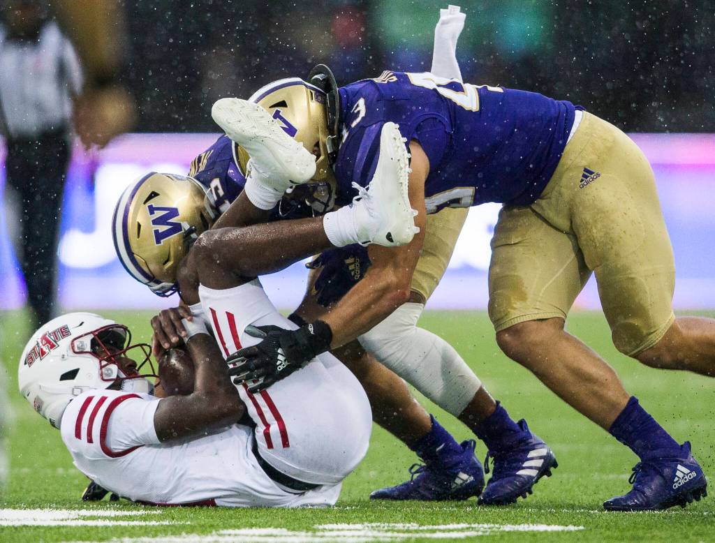 Arkansas States quarterback James Blackman is sacked by Washington Huskies linebackers Daniel Heimuli and Jackson Sirmon during the game against Arkansas State on Saturday, Sept. 18, 2021 in Seattle, Wa. (Olivia Vanni / The Herald)