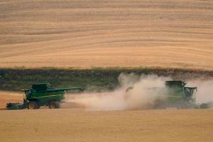 Two combines harvest wheat, Thursday, Aug. 5, 2021, near Pullman, Wash. Across eastern Washington, a drought the National Weather Service classified as "exceptional" has devastated what is normally the fourth largest wheat crop in the nation. (AP Photo/Ted S. Warren)