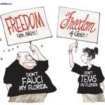 toon