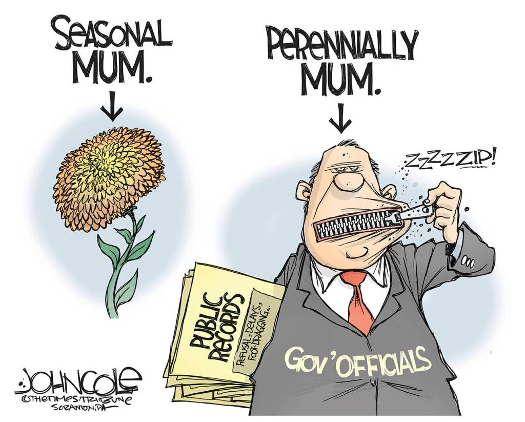 toon