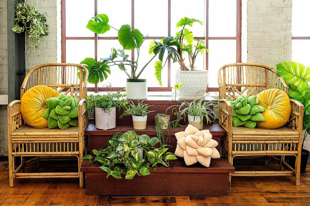 Green Philosophy Co. offers soft plush pillows in the shape of a tropical leaf or succulent. Theyve partnered with nonprofit Trees for the Future, so pillow and throw sales support planting initiatives worldwide. (Sarah Eichstedt / Green Philosophy Co.)