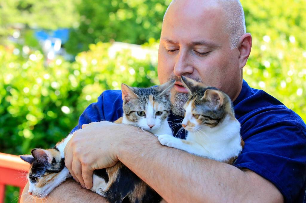 Nate Sage has been a cat foster parent for 11 years, specifically cats and kittens with ringworm. In 10 years, he has fostered 96 cats; currently he has two cats of his own and is fostering three others. PAWS named him Foster Parent of the Year in 2020. (Kevin Clark / The Herald)