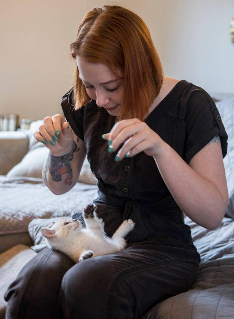 Rebekah Warnock of Bothell plays with her foster kitten Hunny-Bunny at home. (Olivia Vanni / The Herald)