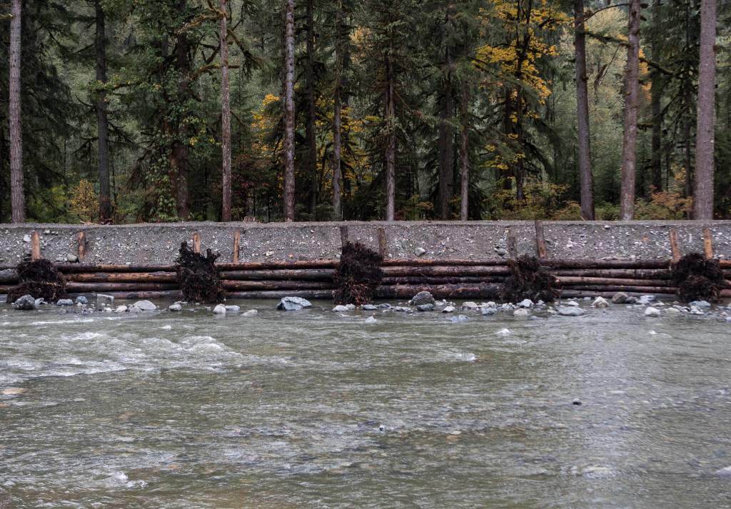 A live crib wall, made out of logged trees, is visible across the South Fork Stillaguamish River from the Gold Basin Campground on Wednesday in Verlot. (Olivia Vanni / The Herald)