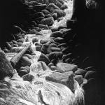 Journey, an aquatint etching by Rob Schouten, shows a salmon migrating back to the stream it was born.