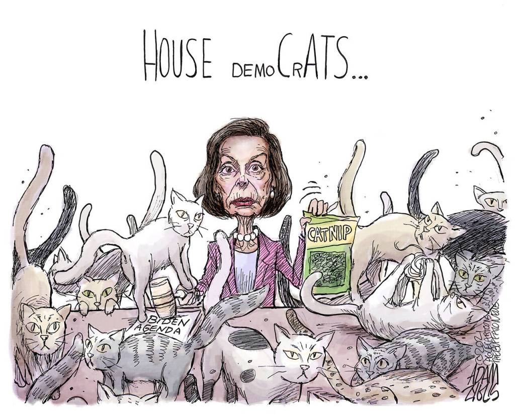 October 2, 2021: Nancy's house cats