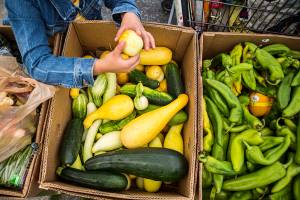 People look through a box of vegetables at the Lake Stevens Community Food Bank on Aug. 30, 2018 in Lake Stevens, Wa. (Olivia Vanni / The Herald)