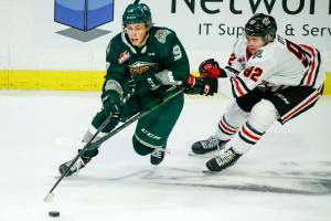 Everett's Ben Hemmerling controls the puck with Portland's O'Brien Jack trailing in the second period Friday night at the Angel of the Winds Arena in Everett on October 8, 2021. (Kevin Clark / The Herald)