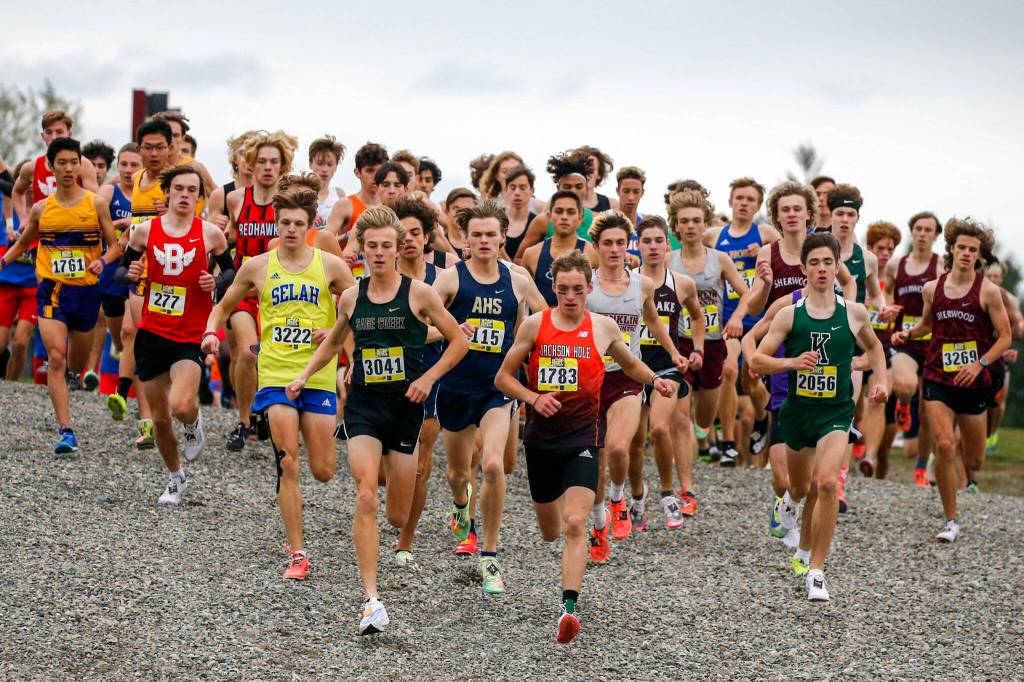This years Hole in the Wall Invitational featured more than 100 teams and over 3,000 runners. (Kevin Clark / The Herald)