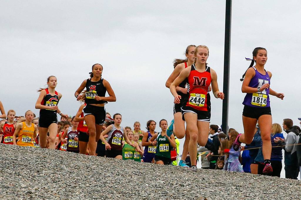 The girls gold division runs the first leg on Saturday afternoon during the annual Hole in the Wall cross country meet at Lakewood High School in Arlington on October 9, 2021. (Kevin Clark / The Herald)