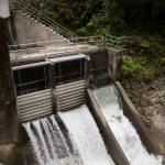 A kayaker walks around the diversion dam on the Sultan River to continue downstream. (Olivia Vanni / The Herald)
