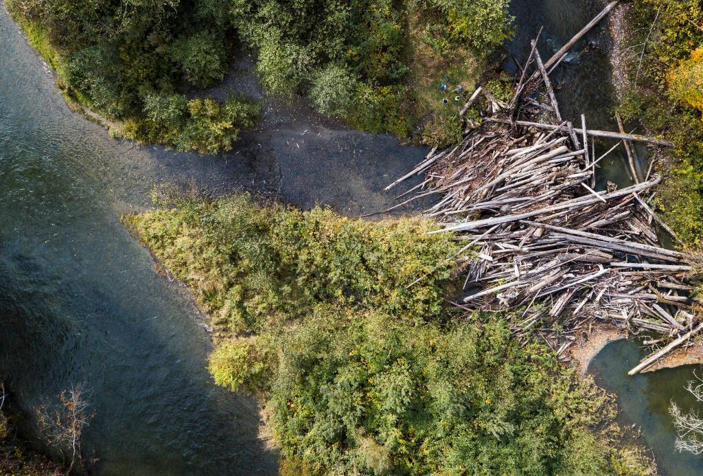 An overhead view of the main channel of the Sultan River (left) and an engineered logjam and side steam. (Olivia Vanni / The Herald)