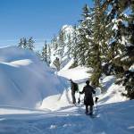 Don Sarver, left, and Kyle James, right, snowshoe on the Skyline Lake Trail on Jan. 26, 2019, in Leavenworth. (Olivia Vanni / Herald file)
Don Sarver, left, and Kyle James, right, snowshoe on the Skyline Lake Trail on Saturday, Jan. 26, 2019 in Leavenworth, Wa. (Olivia Vanni / The Herald)