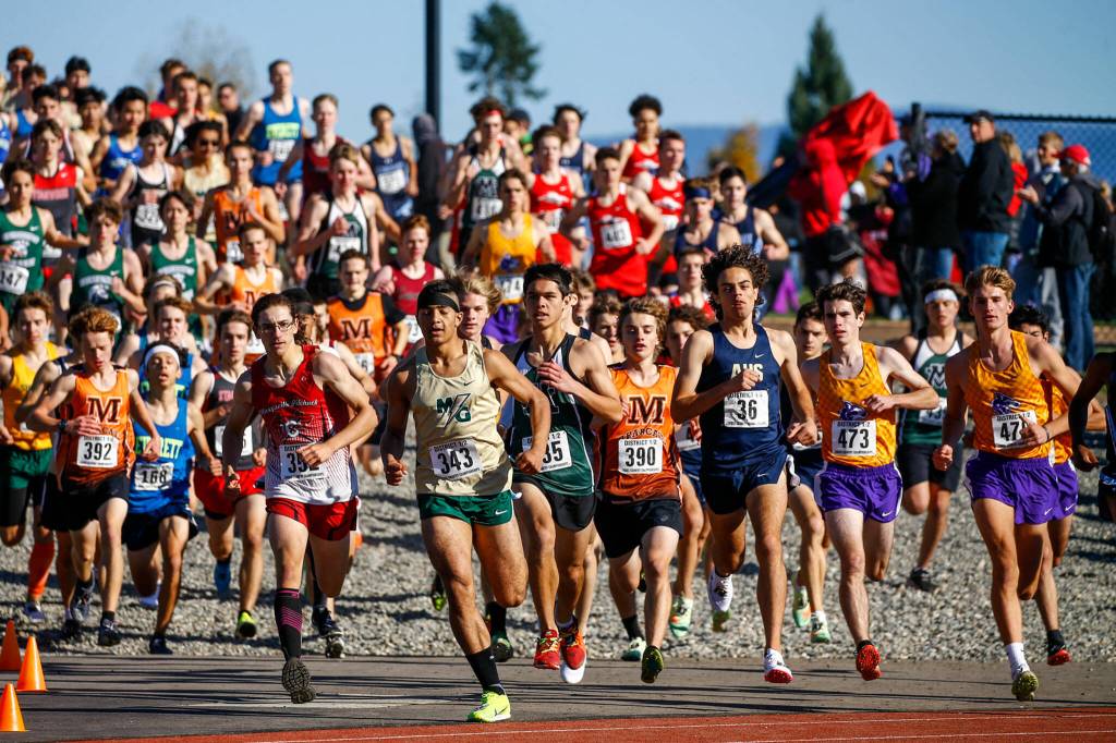 The 3A boys competition is off to the races Saturday afternoon during the District 1 Cross Country Championships at Lakewood High School in Arlington on October 30, 2021. (Kevin Clark / The Herald)